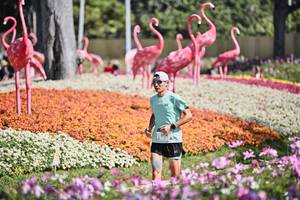 BIB: 
                            <button type="button" onclick="openModal(27793513)" class="btn btn-primary btn-sm float-right btn-popup" data-toggle="modal" data-target=".modal-high-quality">
                        <i class="fas fa-shopping-cart"></i> Add to Cart
                    </button>
                                            <button type="button" onclick="isThisMe(27793513, true)" class="btn btn-success btn-sm float-right btn-popup btn-isme hidden" data-toggle="tooltip" data-placement="bottom" title="นี่คือรูปของคุณใช่ไหม คลิกที่นี่เพื่อเอาเข้าอัลบั้ม">
                        <i class="fas fa-plus"></i> Add to album
                    </button>
                    <button type="button" onclick="isThisMe(27793513, false)" class="btn btn-warning btn-sm float-right btn-popup btn-isnotme hidden">
                        <i class="fas fa-ban"></i> Remove from album
                    </button>